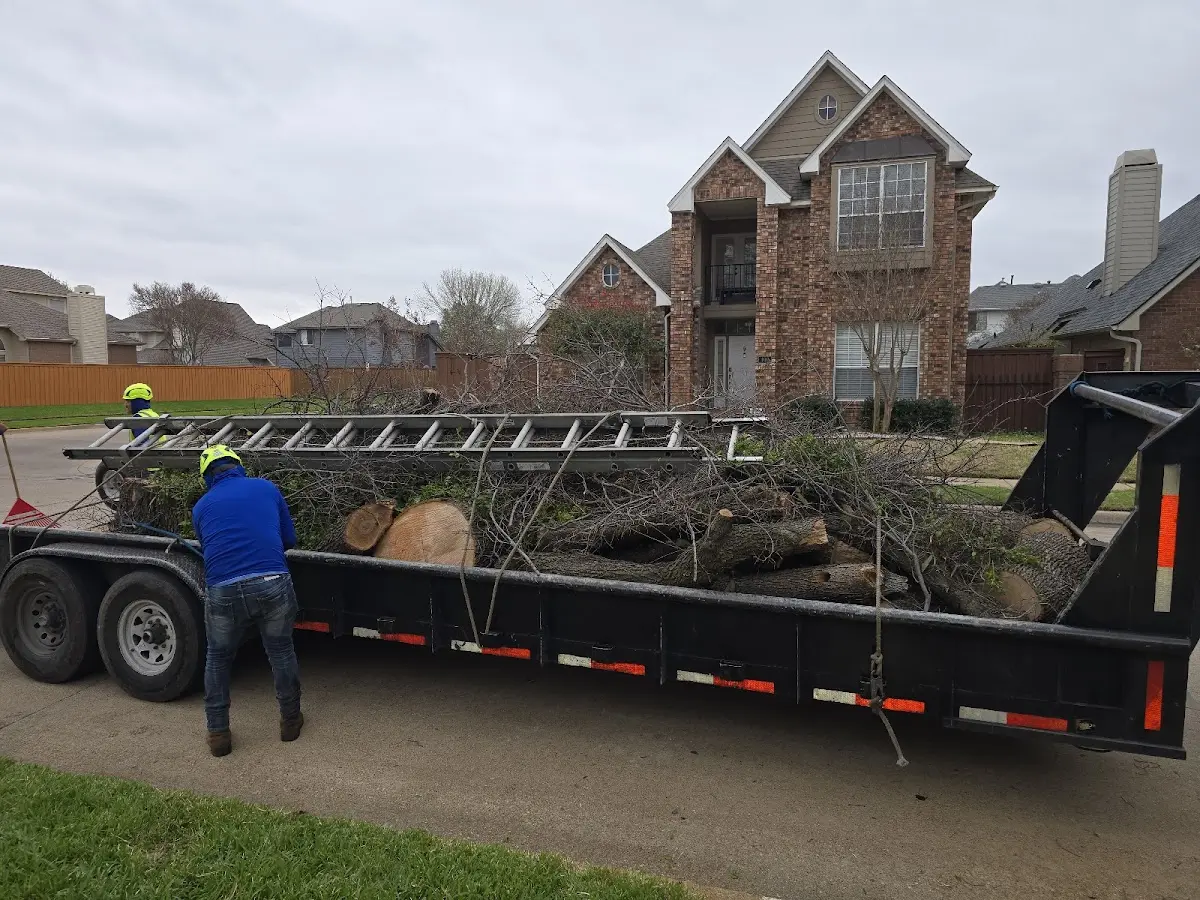 Expert Lot Clearing with proper safety equipment in Firth